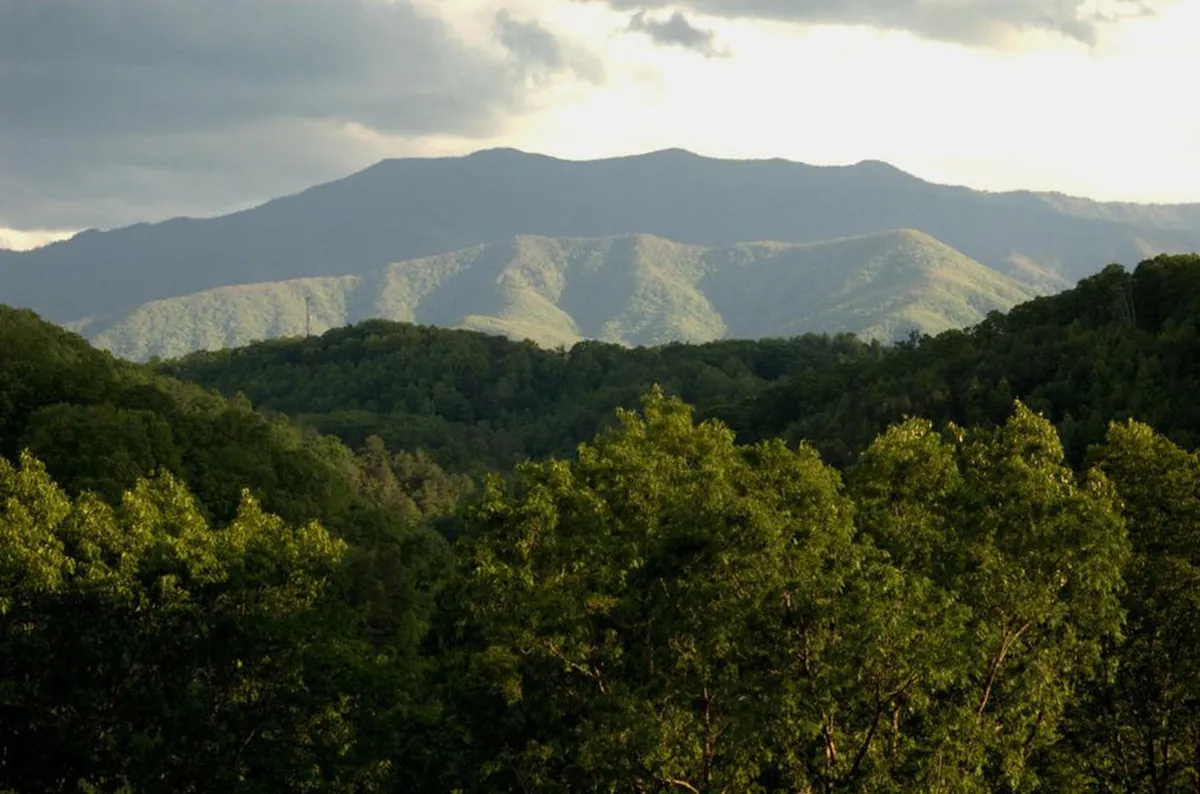 A breathtaking view showcasing a wide mountain range covered in lush green trees under a cloudy sky. The landscape suggests opportunities for hiking, nature photography, and wildlife observation, perfectly encapsulating the beauty of the Smoky Mountains.